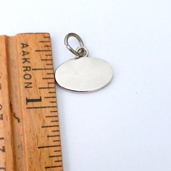 Weight Watchers Freestyle Silver-tone Oval Charm - Picture 4 of 4